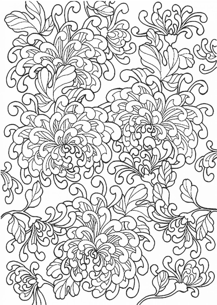 Раскраска антистресс "Цветы" - Раскраски А4 формата для распечатки